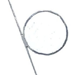 Monnaie du pape en verre transparent texturé