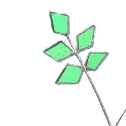 Branche de ficus en verre