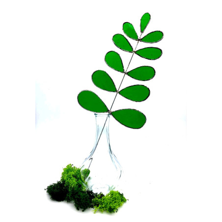 Branche de feuille de Camélia