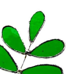 Branche de feuille de Camélia