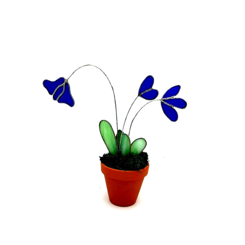 Cyclamen en verre bleu foncé transparent dans un pot en terre cuite (hauteur 28 cm)