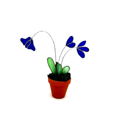 Cyclamen en verre bleu foncé transparent dans un pot en terre cuite (hauteur 28 cm)